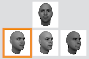 WARD - Face Matching Facegen